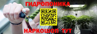 эйфоретик Абинск