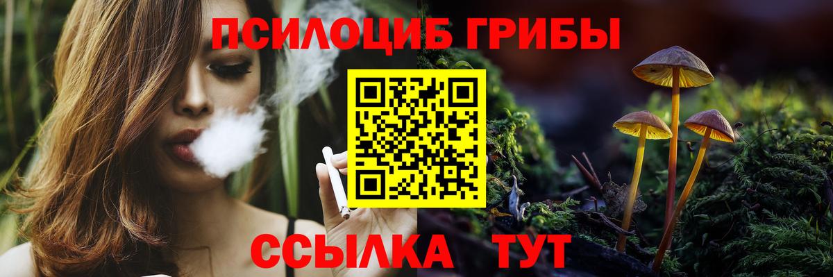 Галлюциногенные грибы Magic Shrooms Анапа