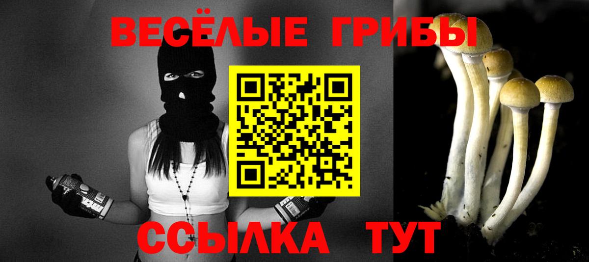 Псилоцибиновые грибы MAGIC MUSHROOMS  Вход с VPN  Анапа 